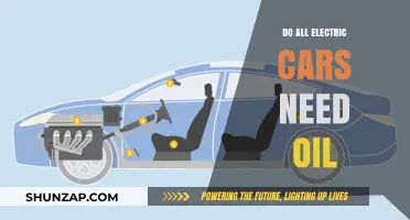 Electric Cars and Oil: Do They Really Need Lubrication?