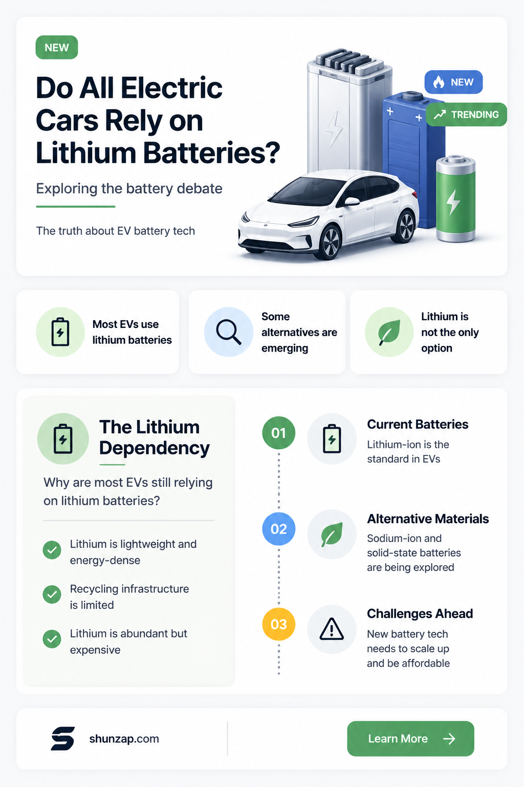 are all electric cars use lithium batteries
