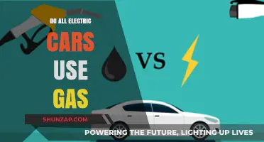 Electric Cars and Gas: Debunking the Fuel Myth