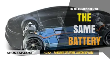 Do All Electric Cars Share the Same Battery Type?