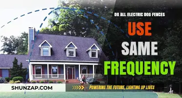 Do All Electric Dog Fences Use the Same Frequency?