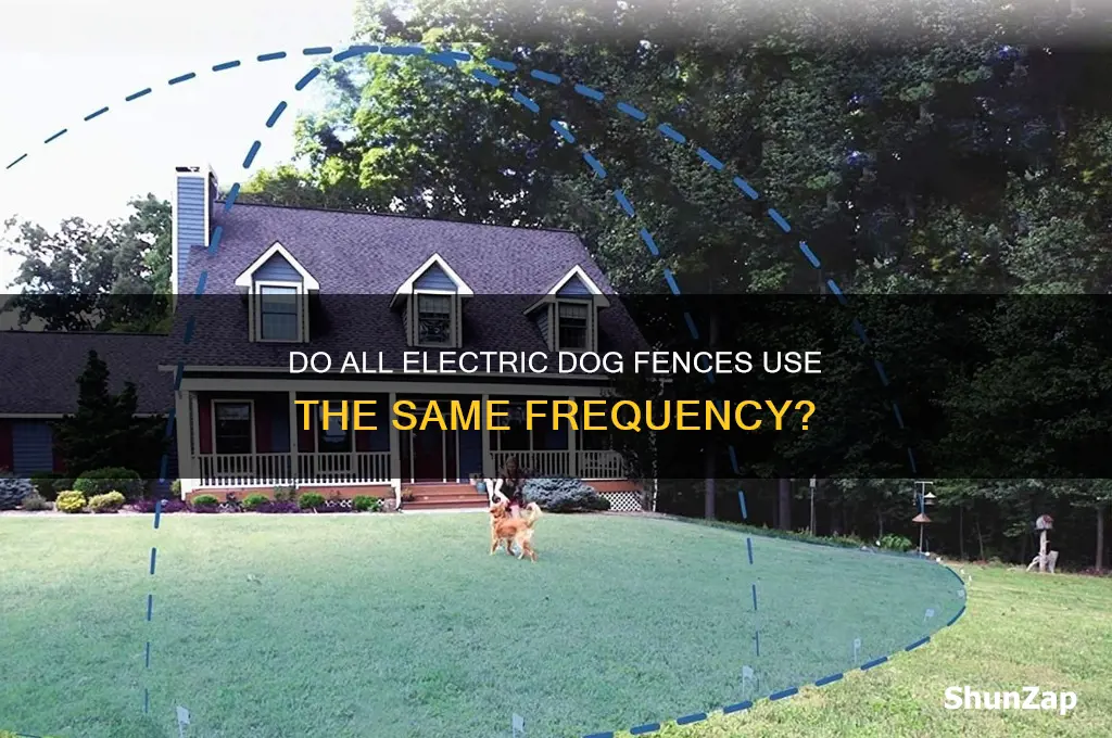 do all electric dog fences use same frequency