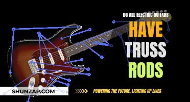 Truss Rods: Electric Guitar Maintenance and Customization