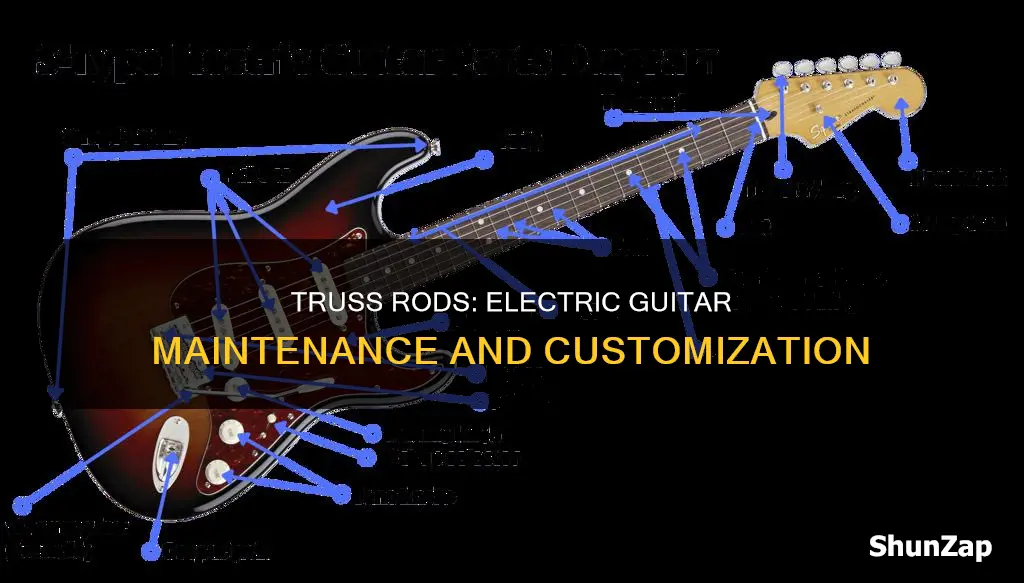 do all electric guitars have truss rods
