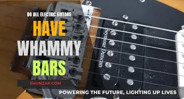 The Whammy Bar Mystery: Electric Guitars Explained