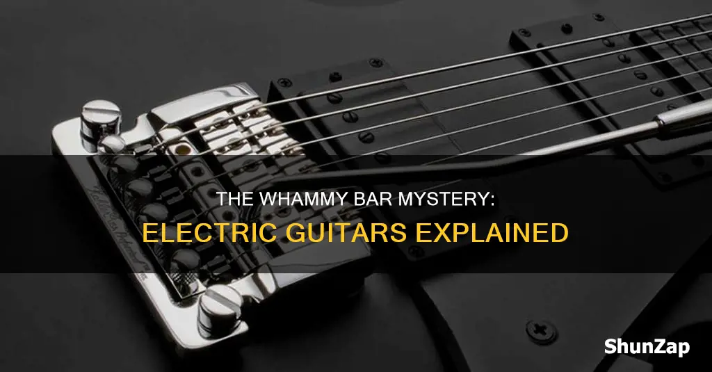 do all electric guitars have whammy bars