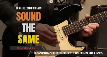 Electric Guitar Sound: Unique or Universal?