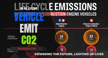 Electric Vehicles: CO2 Emission Myths and Realities