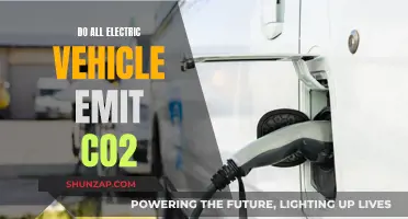 Electric Vehicles: CO2 Emission Secrets Revealed