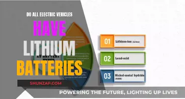 Beyond Lithium: Exploring Electric Vehicle Battery Diversity