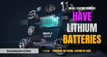 Electric Vehicles: Why Lithium Batteries Are Preferred