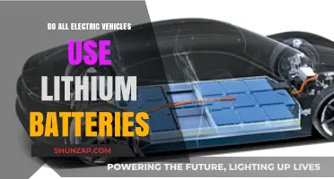 Do All Electric Vehicles Rely on Lithium Batteries?
