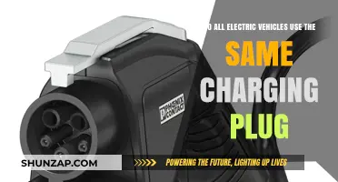 Electric Vehicle Charging Plugs: Are They Universally Compatible?