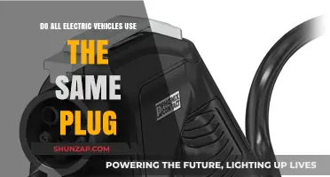 Electric Vehicle Charging: Do All EVs Share the Same Plug Type?