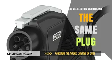 Do All Electric Vehicles Use the Same Charging Plug?