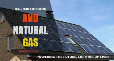 Electricity and Natural Gas: Are They Universal in Home Energy Use?