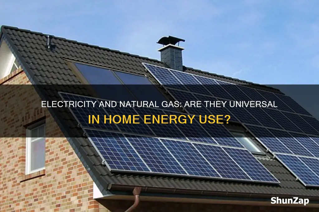 do all houses use electric and natural gas