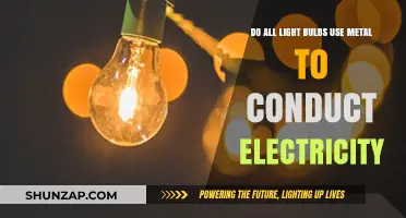 Do All Light Bulbs Use Metal for Electrical Conduction?