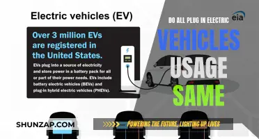 Unraveling the Mystery: Do All Plug-In EVs Use the Same Power?