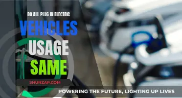 Electric Vehicles: Are All Plugs and Sockets Universal?