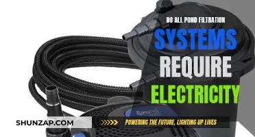Electricity and Pond Filtration: What's the Connection?