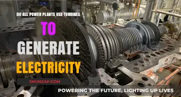 Do All Power Plants Rely on Turbines for Electricity Generation?