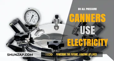 Electricity-Free Canning: Exploring Pressure Canners Beyond Electric Models