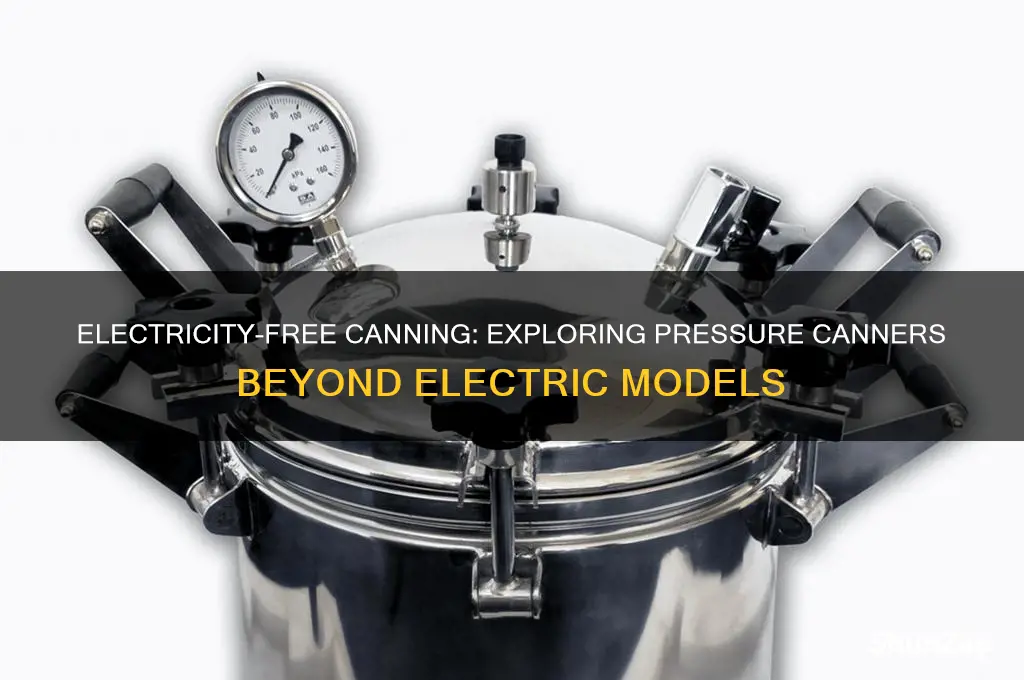 do all pressure canners use electricity