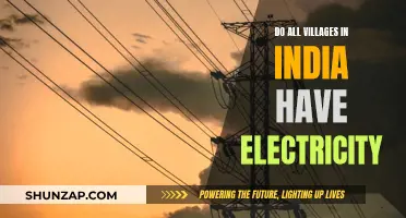 Electricity in Indian Villages: A Universal Reality?