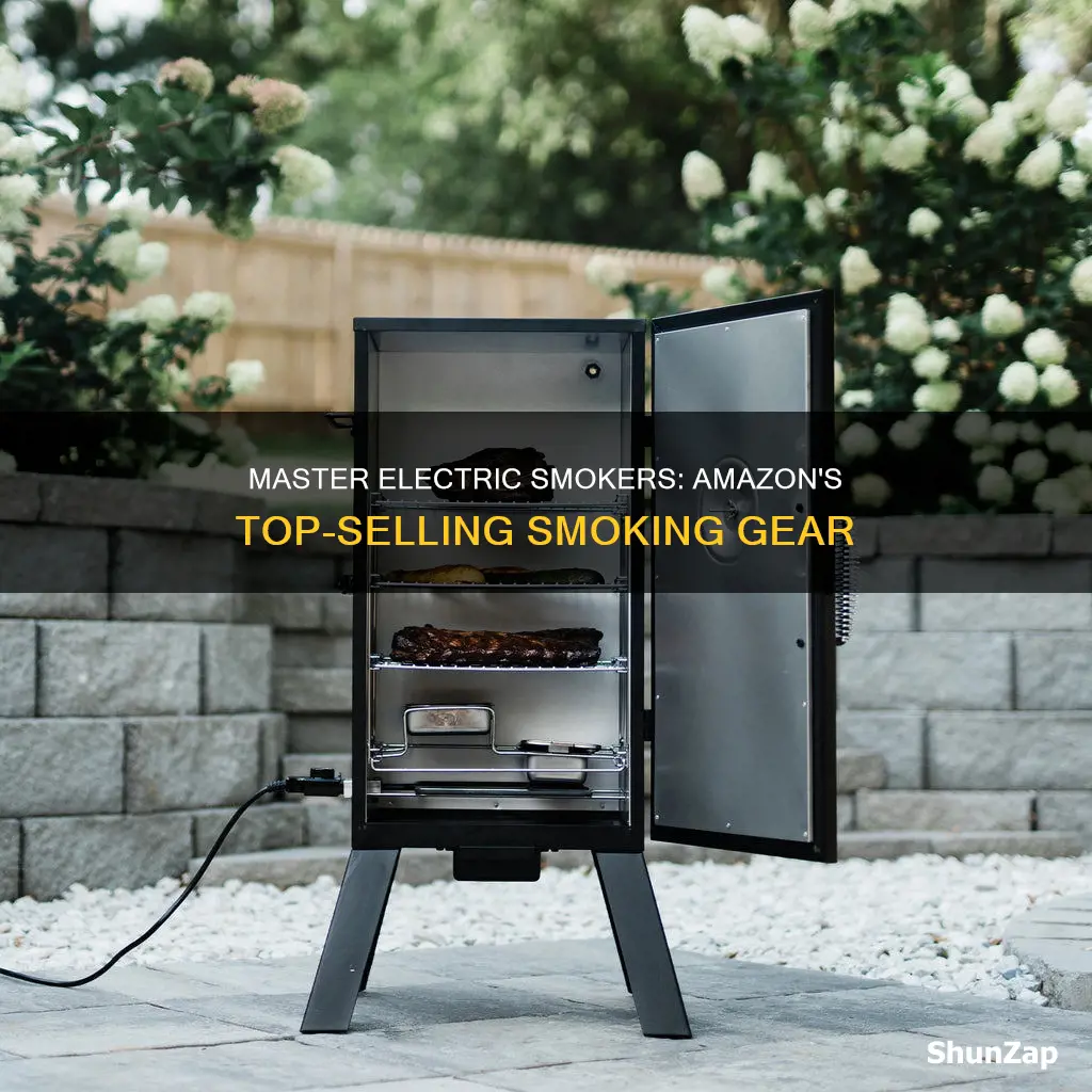 do amazon sell the master electric smokers