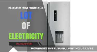 American Fridge Freezers: High Energy Consumption Explained