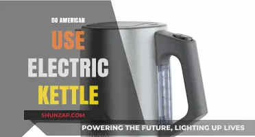 Electric Kettles in America: Are They a Common Household Appliance?