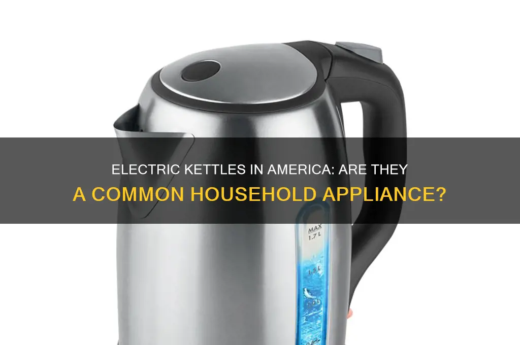 do american use electric kettle
