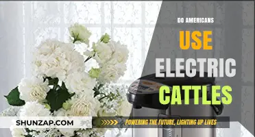 Electric Kettles in America: Are They a Common Household Appliance?