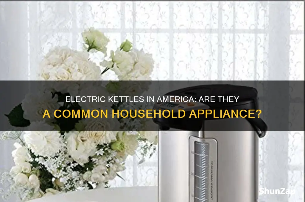 do americans use electric cattles