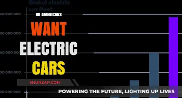 Are Electric Vehicles Gaining Traction with American Drivers?