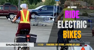 Electric Bikes in Amish Communities: Exploring Their Use