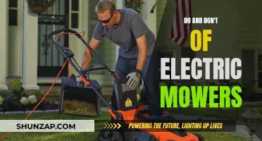Electric Mowers: Pros, Cons, and Practical Tips