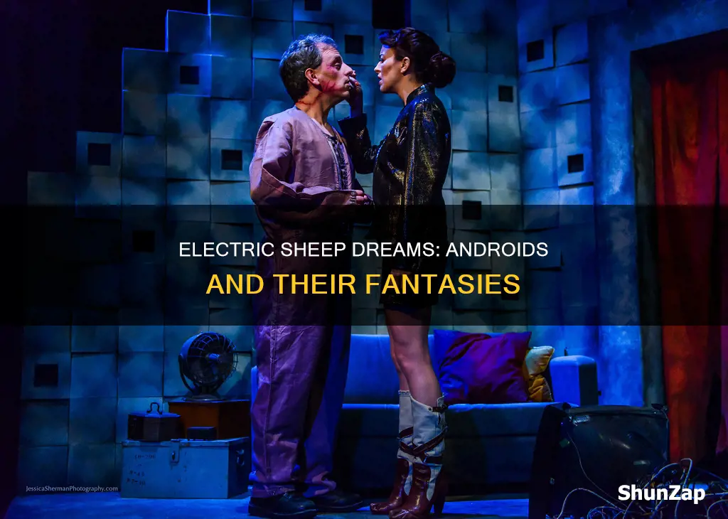 do andriods dream of electric sheep movie