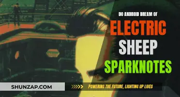 Android Dreams: Electric Sheep Sparknotes Explained