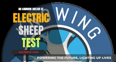 Android Dreams: Electric Sheep and AI Consciousness