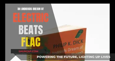 Electric Beats Dream: Androids, FLAC and the Future
