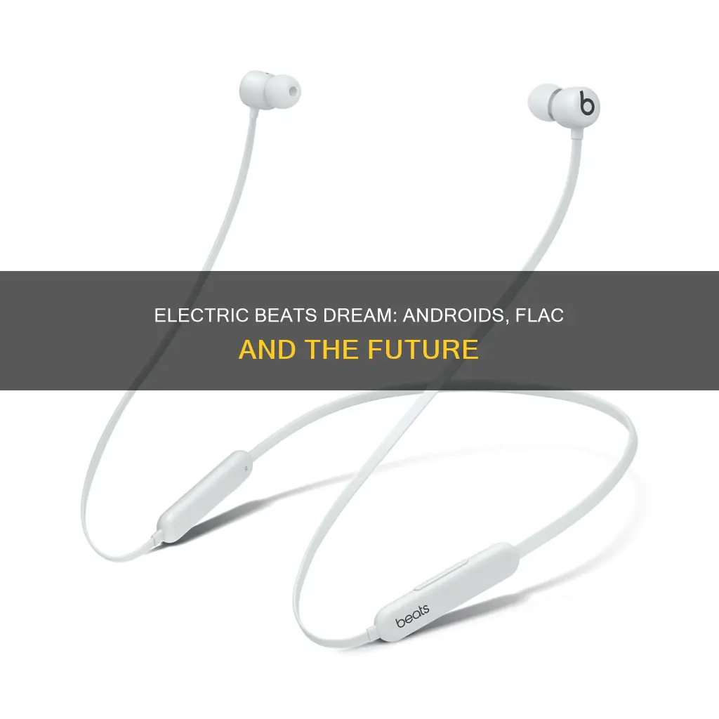 do androids dream of electric beats flac