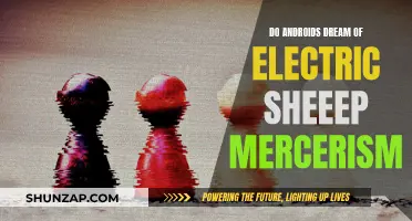 Mercerism in Androids: Dreams of Electric Sheep