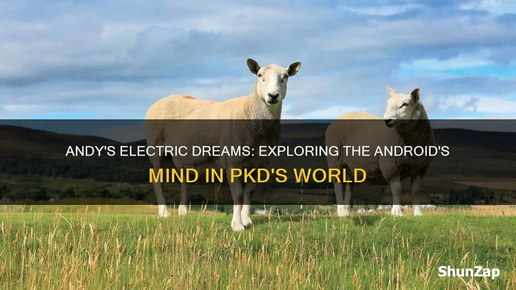 do androids dream of electric sheep andys