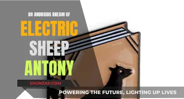 Antony's Electric Dreams: Exploring Androids and Sheep