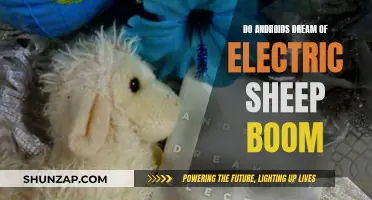 Exploring Androids' Dreams: Electric Sheep and Beyond