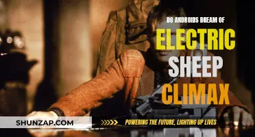The Climactic End: Androids, Dreams, and Electric Sheep