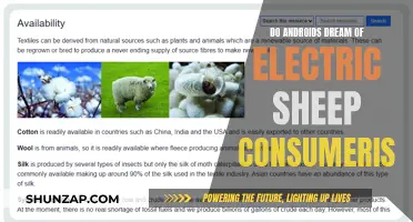 Consumerism and Dreams: Androids, Sheep, and Electric Fantasies
