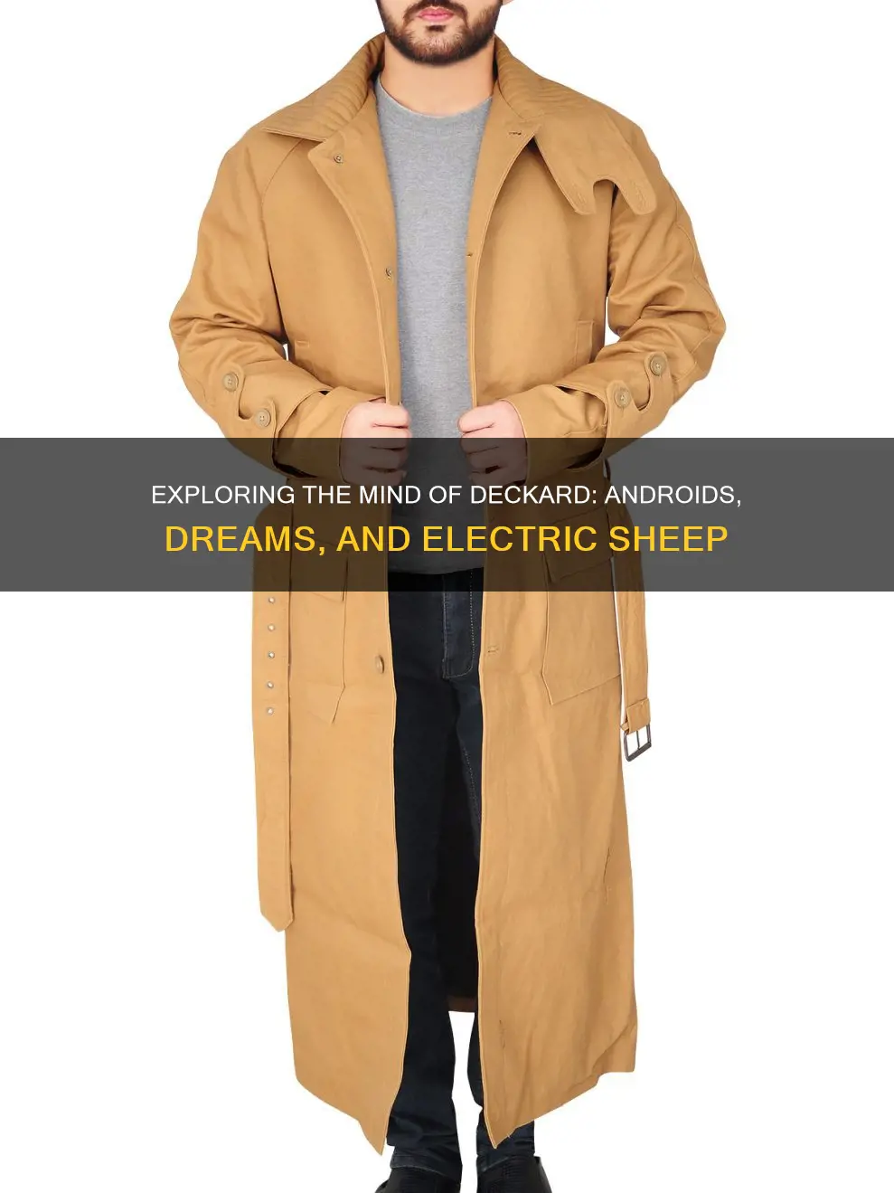 do androids dream of electric sheep decker